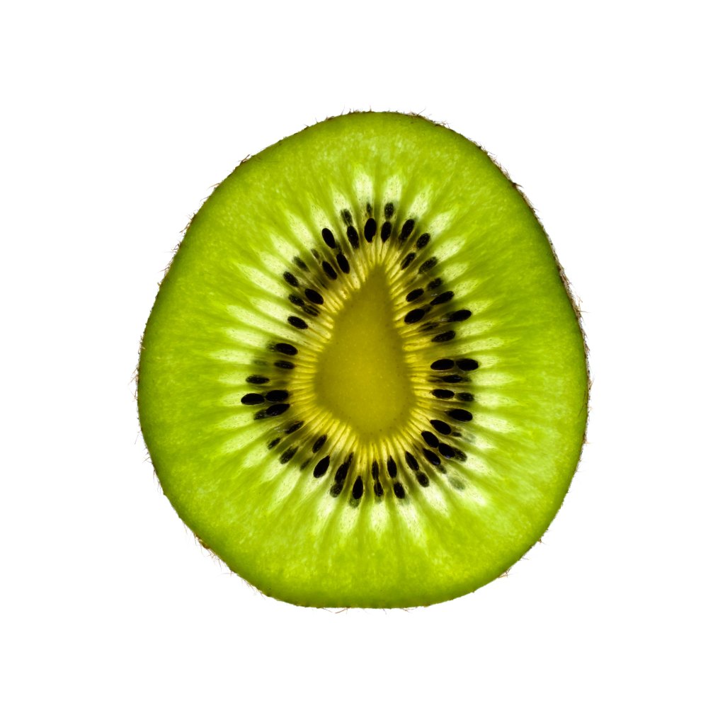 A slice of Kiwi fruit